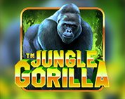 Jungle Gorilla